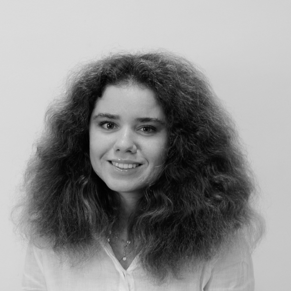 Irina Lashchykhina, Lawyer